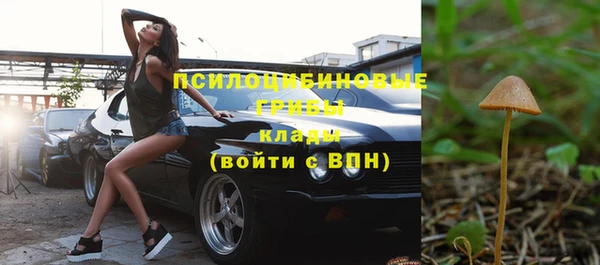 индика Верхний Тагил