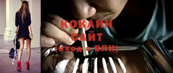 эйфоретик Богданович
