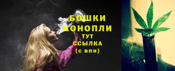 mix Бородино