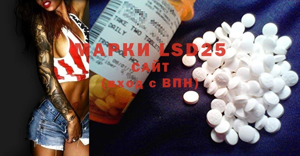 эйфоретик Богданович