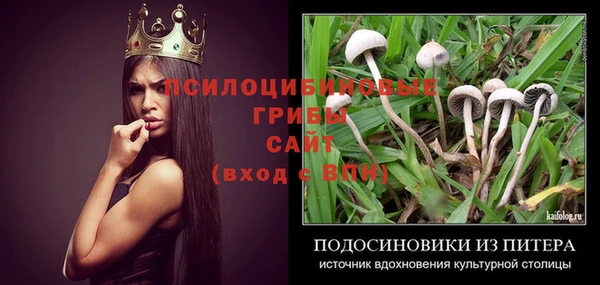 Альфа ПВП Богородицк