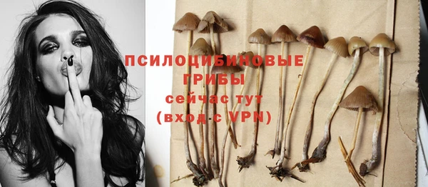 не бодяженный Богородск