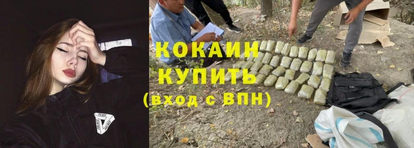 Альфа ПВП Богородицк